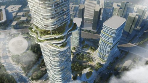 ole scheeren tiet lo ke hoach cho mot khu rung tren cao ngoan muc tai viet nam 2916 1