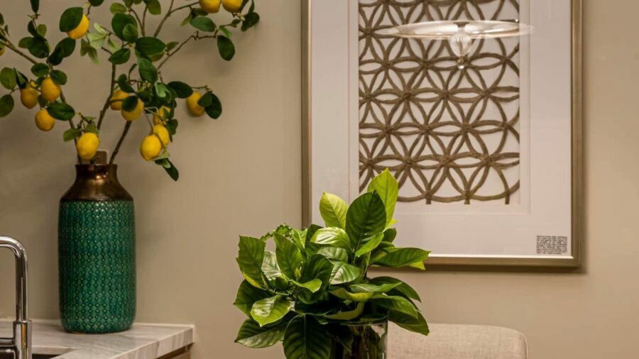 z3632471926907 850461d13a2c0dd835d9800d048b5bca