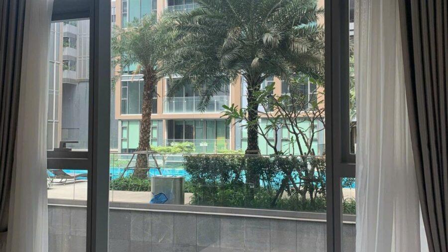 Hồ bơi và cây cọ nhìn từ phòng ngủ tầng 2 căn hộ Linden